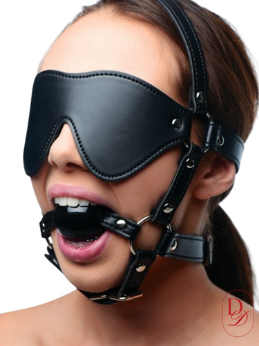 baillon bdsm